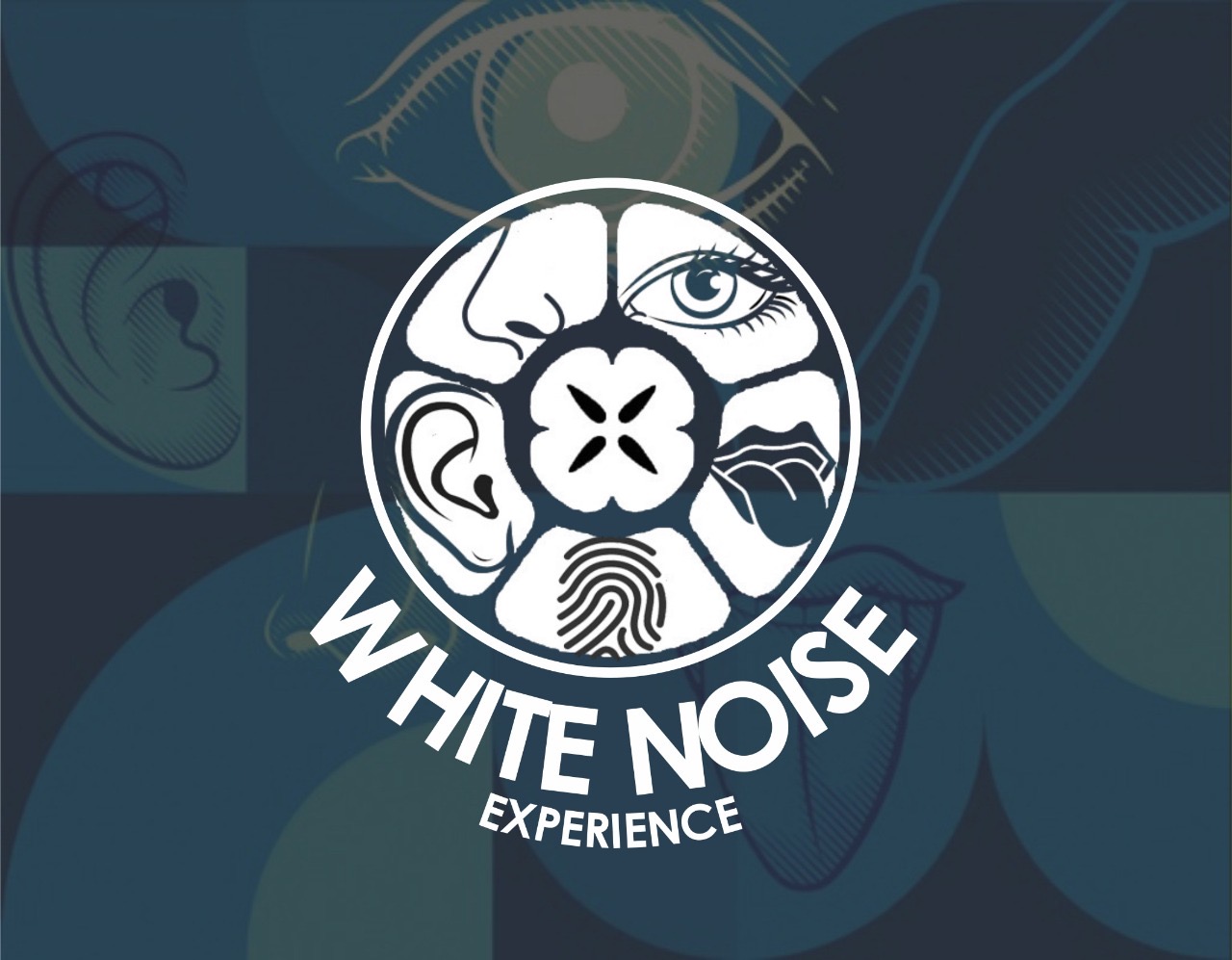 White Noise Experience